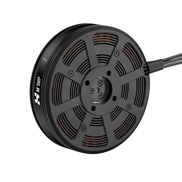 Мотор Hobbywing XRotor M10005-100KV xrotor_m10005-100kv фото