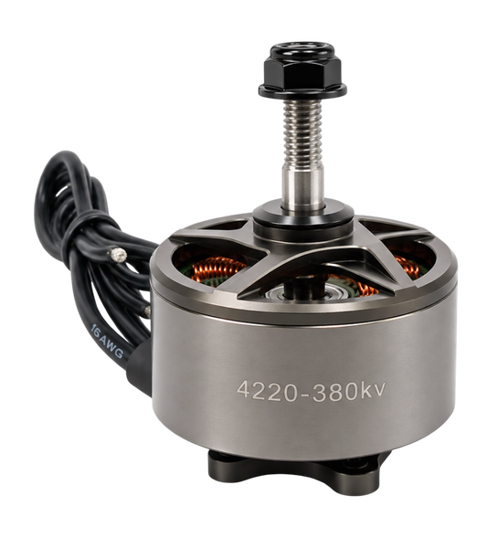 Мотор електричний R202X E-series EX 4220 380KV E_4220_380KV фото