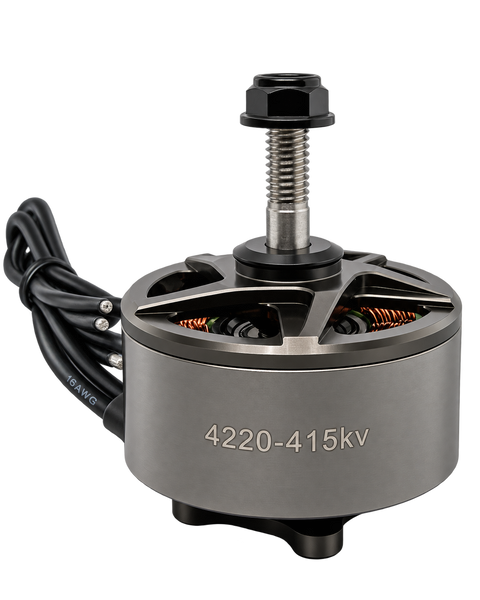 Мотор электрический R202X E-series EX 4220 415KV E_4220_415KV фото